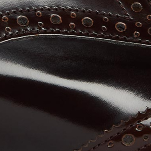 Closeup of Polished leather upper